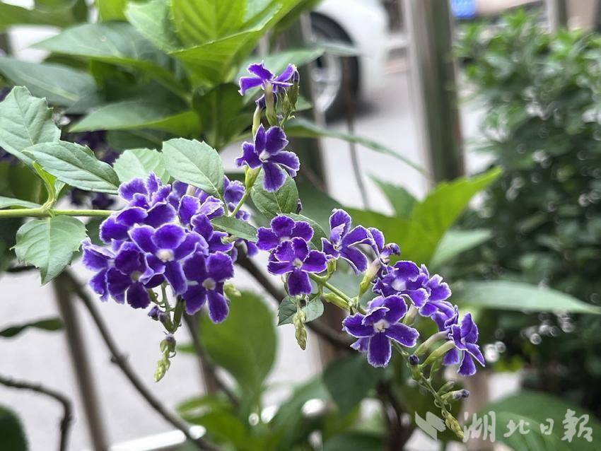 捕鱼合集上分微信